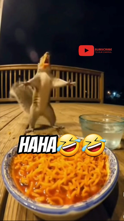 TUPAI KEPEDASAN🤣🤣 #funny #tupai #lucu