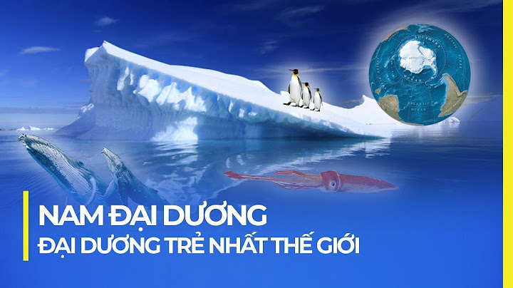 Thế giới có bao nhiêu đại dương năm 2024