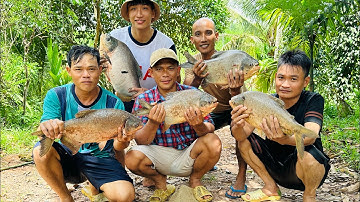 Vét Ao Cá Chim Để Thả Cá Mùa Giống Mới - Toàn Đen Sơn Dược Vlog