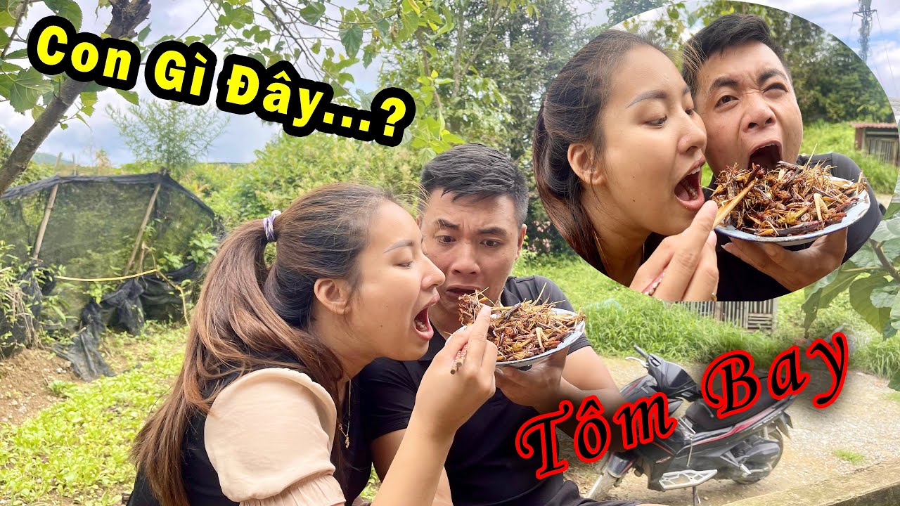 Tôm Bay Trên Cỏ, Món Này Chắc Ít AE được ăn lắm l NÀNG DÂU SAPA - YouTube