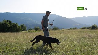 Les Beaucerons de l'élevage du Grand Buech