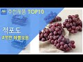 적포도 추천 순위 Top10