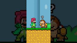 Super Mario World with the SUPER FLOWER POT #mario