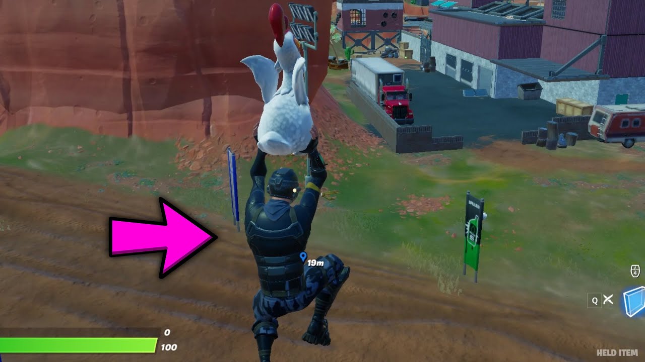 Fly with a chicken for 20 meters in a single flight