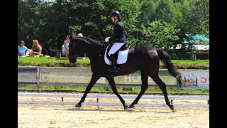 Alancas 4yo trak. kwalifikacje MPMK 2020