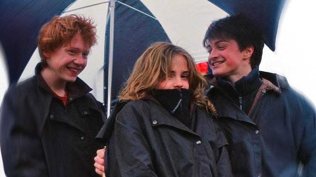 La Belleza de Harry Potter