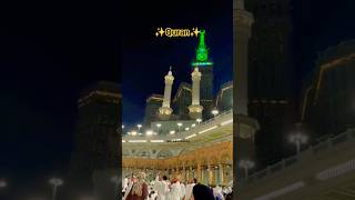 QURAN URDU TRANSLATION/ SURAH TAGHABUN AYAT✨️ #quran #surahtaghabun #quranurdutranslation #islamic