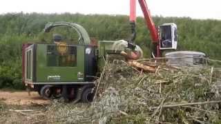 PTH 1200/1000 M Pezzolato drum wood chipper, MAN truck,  EPSILON crane and CATERPILLAR C18 engine