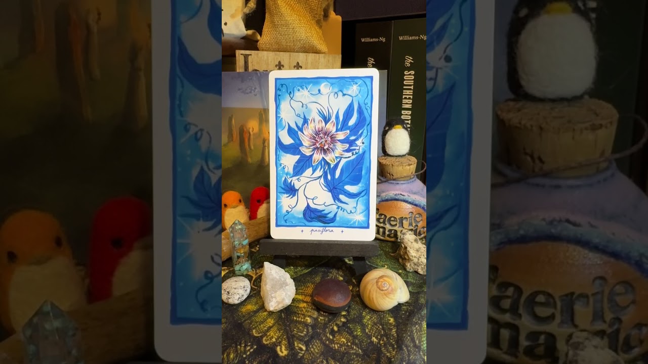 ASMR-карта дня из колоды Оракула: Los Campos Energéticos.