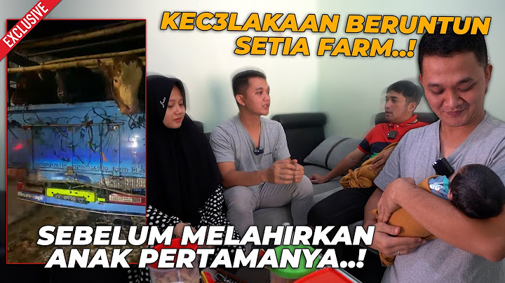 MAS HERMAWAN SY0KK BERAT..! SETIA FARM K3CELAKAAN SEBELUM MELAHIRKAN ANAK PERTAMANYA..!