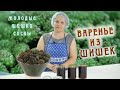 Варенье из сосновых шишек