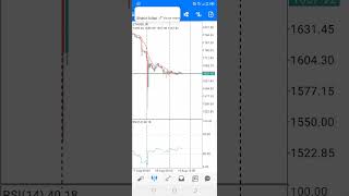 forex free signal daily update