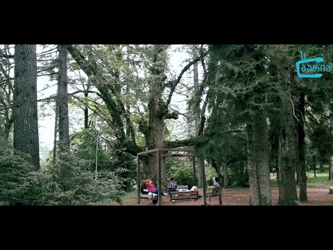 გორაბერეჟოული - დენდროლოგიური პარკი და ერისთავების სასახლე