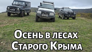 УАЗ Хантер, УАЗ Патриот, Hover H3, Pajero в лесах Старого Крыма