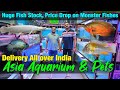 Huge fish stock at asia aquarium i delivery available all over india