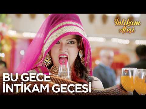 YYılan İntikam İçin Harekete Geçti | İntikam Ateşi