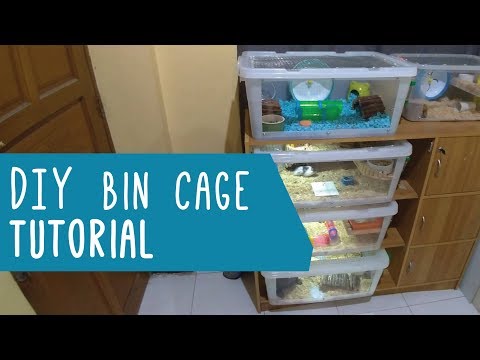 Video: Paano Gumawa Ng Isang DIY Hamster Cage