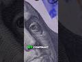 Real World Assets: Native vs. Non-Native Explained!  #shorts  #crypto