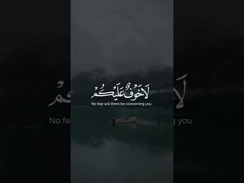 ادخلوا الجنة ادريس ابكر مقطع قرآني راحة نفسية اكسبلور Foryou قران