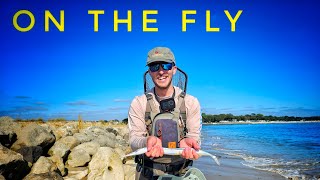 Download Lagu NEW SPECIES ON THE FLY | SALTWATER FLY FISHING MP3
