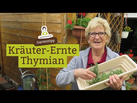 Video: Richtlinien für die Kräuterernte: Kräuter aus dem Garten ernten