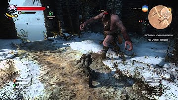 The Witcher 3 - Cyclops encounter