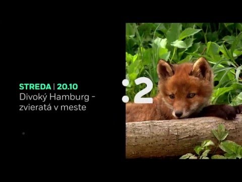 Video: V Blízkosti Novosibirsku Neznáme Zviera Zabilo Dve Kozy - Alternatívny Pohľad