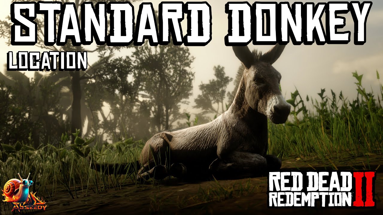 Standard Donkey Location - Red Dead Redemption 2 - YouTube