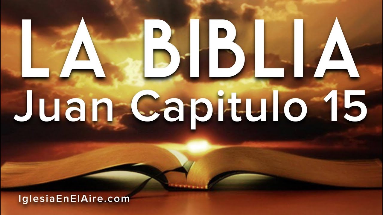 yandel edad La Biblia Hablada | Libro de Juan Capitulo 15