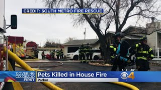 Family Dog & Snake Die In House Fire