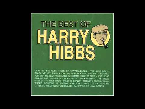 Harry Hibbs - Twenty One Years