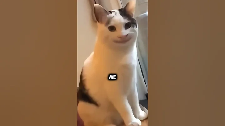 Cats Cannot Smile 🤯 #shorts