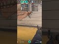 aurora vs liquid m2 train POV XANTARES 20251118 022947 2