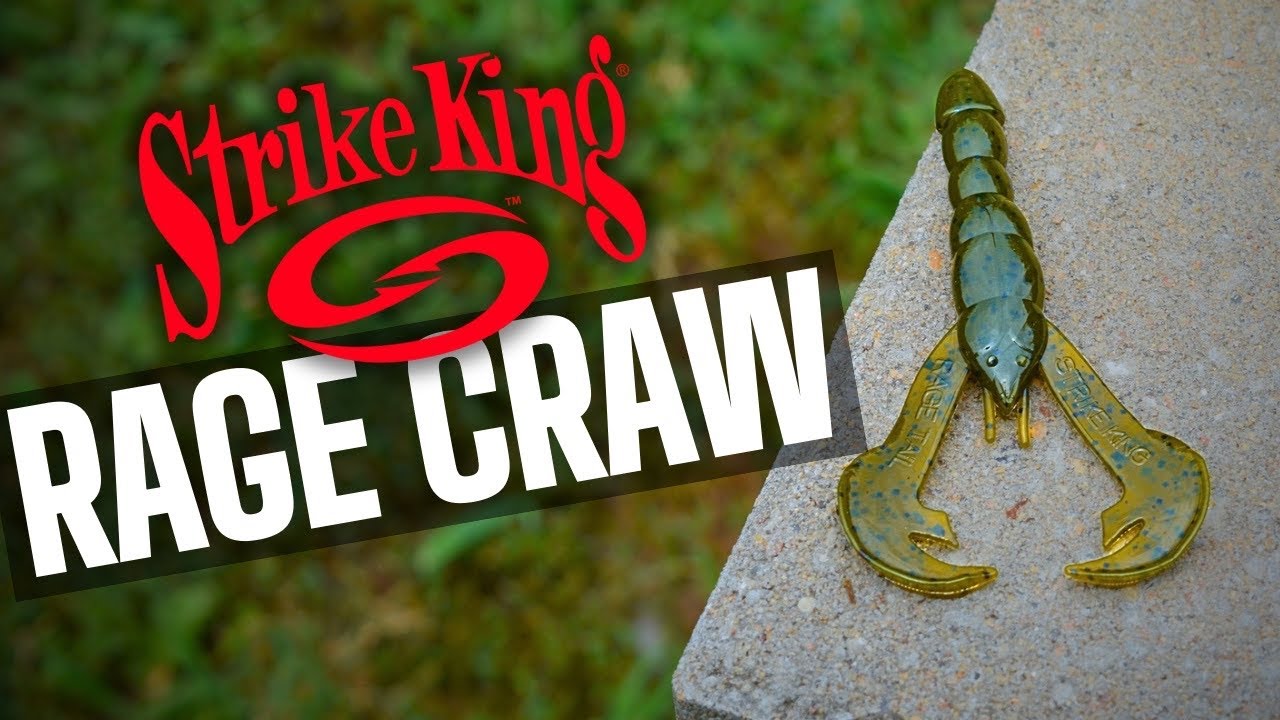 Searching for a Bite in a Brand New Pond | Summer Bass Fishing