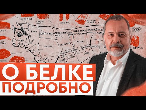 Video: Сиз белок ичишиңиз керек