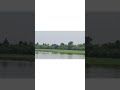 Nature all together