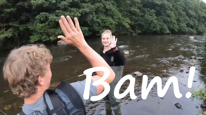 ROADTRIP MET ENZO, BAS EN FRAN! deel 1 - VLOG#3