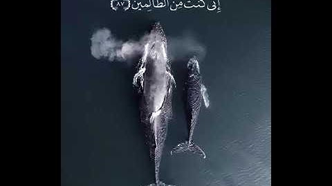 حالات واتس قران.  سورة الانبياء💙