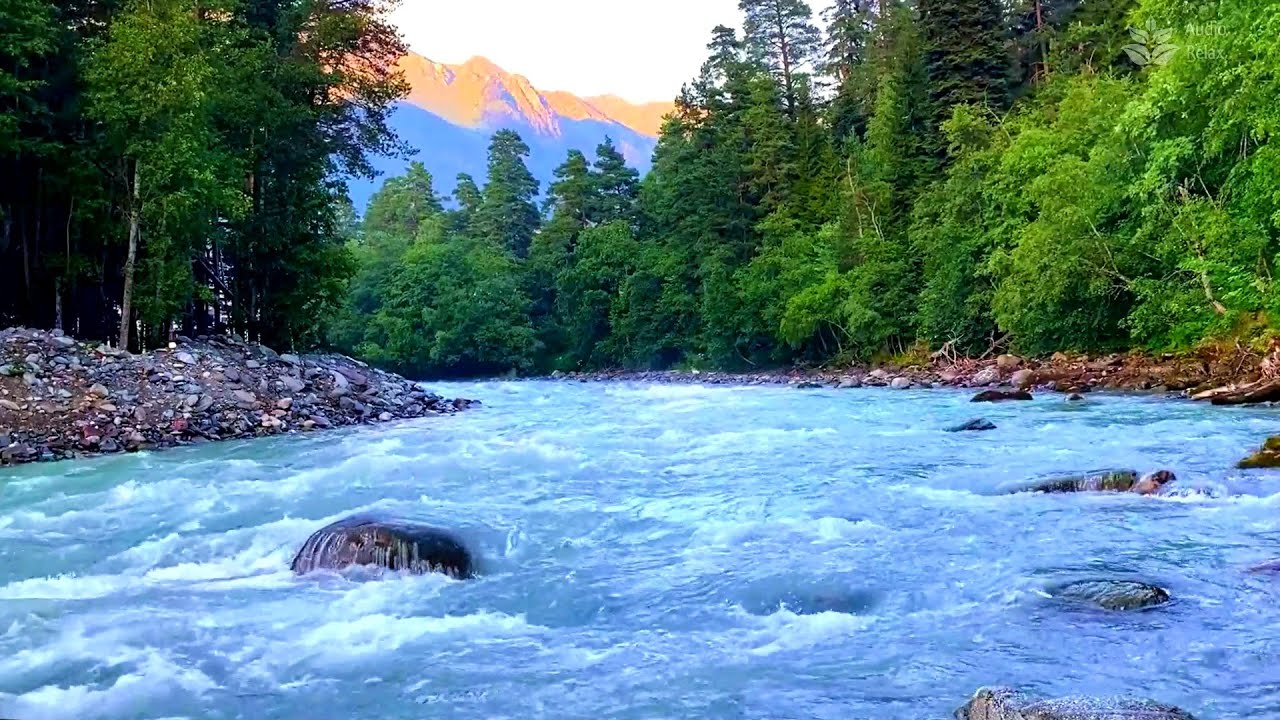 Forest River flowing in Early Morning 4k. Relaxing River Sounds