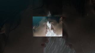 #ナイロンの糸 #サカナクション #sakanaction