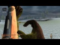 Middle of video