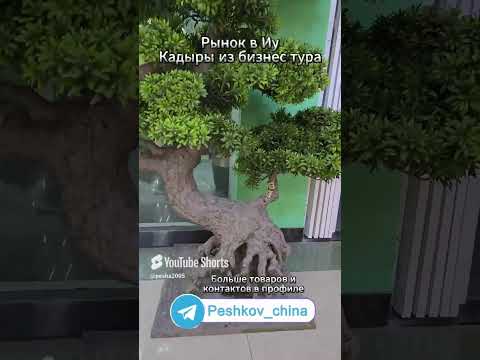 Кадры бизнес тура из Китая Рынок 3 #бизнесскитаем #идеидлябизнесa
