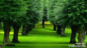 آيات بينات من سورة الرعد