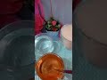 شربات الكنافه والقطايف بطريقة نجحه وميسكرش بتعملى الشربات ومش بيظبت تعالى اقول لكى سر فاطمه الجندى