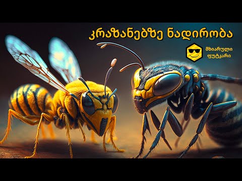 გენმოდიფიცირებული კრაზანა და მთვრალი ფუტკარი