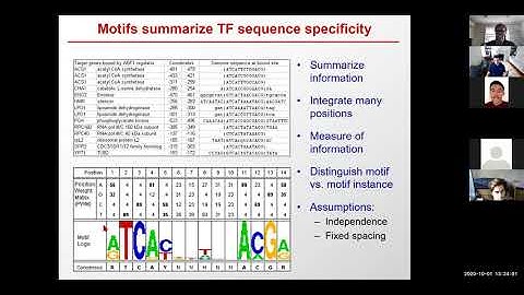 6.047/6.878 Lecture 10 - Regulatory Genomics and Motifs (Fall 2020)