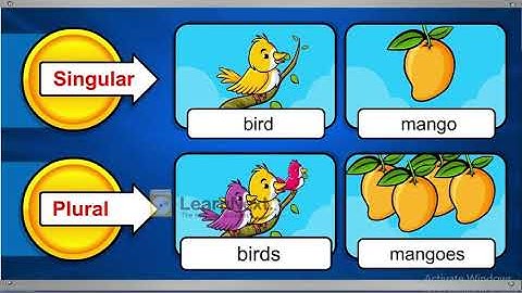 Class  2 English Grammar chapter 6-One and More Than One Introductory video by Anuradha Chatterjee.