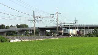 東北本線 5593レ EF64-1006(原色)+コキ ワシクリにて