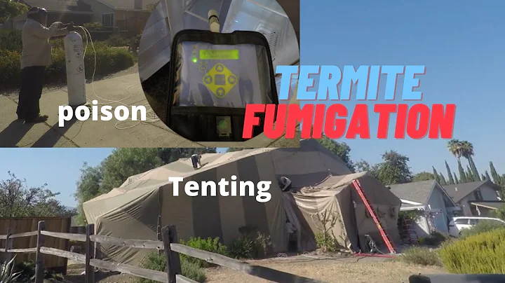 10 Termite Fumigation/Tenting Facts You May Not Know