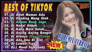 DJ TIK TOK TERBARU 2021 | DJ ADUH MAMAE ADA X ANJING ANJING BANGET FULL ALBUM REMIX 2021 FULL BASS